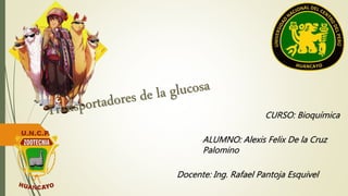 CURSO: Bioquímica 
ALUMNO: Alexis Felix De la Cruz 
Palomino 
Docente: Ing. Rafael Pantoja Esquivel 
 