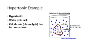 Hypercation Transport and transport protein in cell biology | PPTX