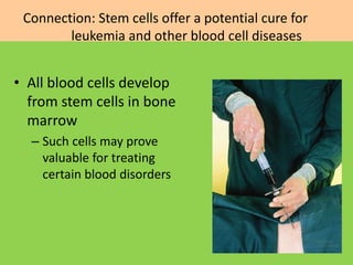 Circulation in plants and animals