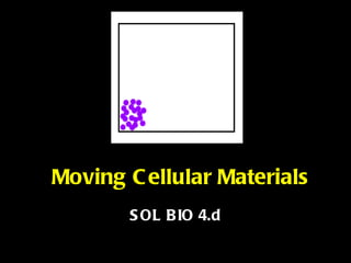 Moving Cellular Materials SOL BIO 4.d 