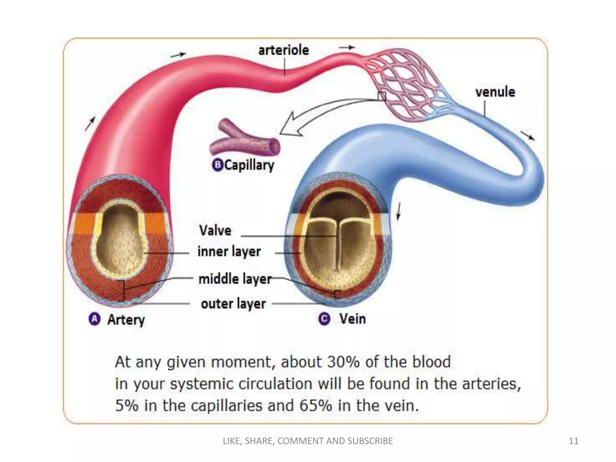 LIKE, SHARE, COMMENT AND SUBSCRIBE 11
 