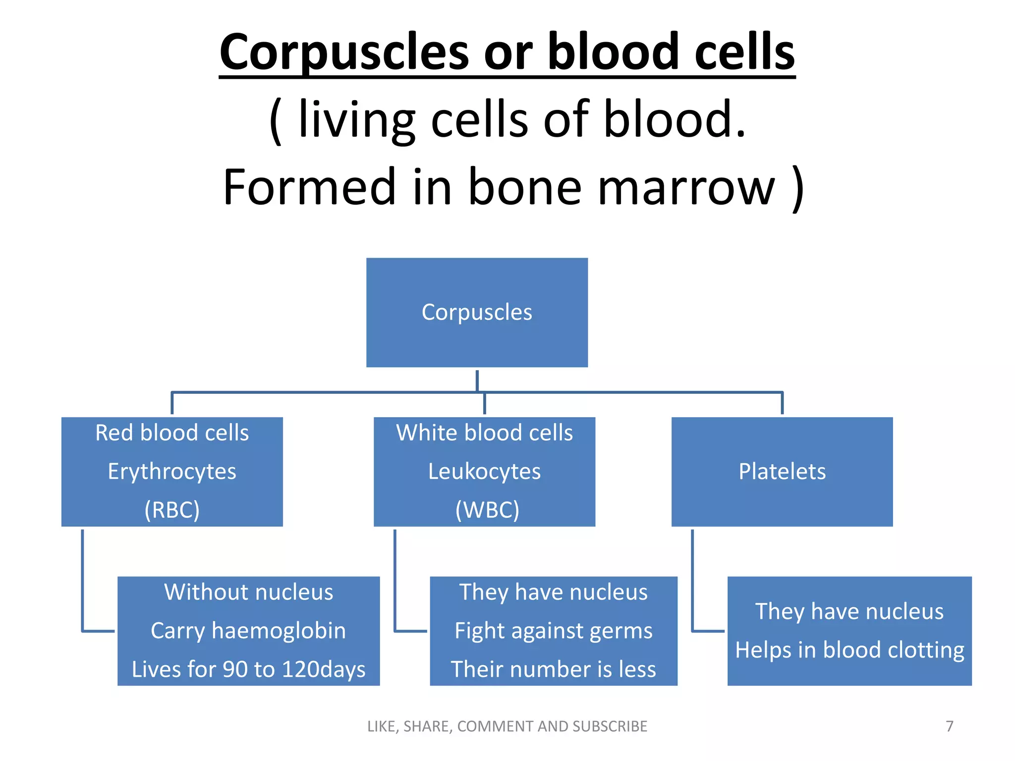 Corpuscles or blood cells
( living cells of blood.
Formed in bone marrow )
Corpuscles
Red blood cells
Erythrocytes
(RBC)
Without nucleus
Carry haemoglobin
Lives for 90 to 120days
White blood cells
Leukocytes
(WBC)
They have nucleus
Fight against germs
Their number is less
Platelets
They have nucleus
Helps in blood clotting
7LIKE, SHARE, COMMENT AND SUBSCRIBE
 