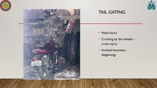 TAIL GATING
• Head injury
• Crushing by the wheels –
crush injury
• Avulsed laceration
(degloving)
 