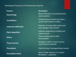 transportation injury presentatiomn 12345 | PPT
