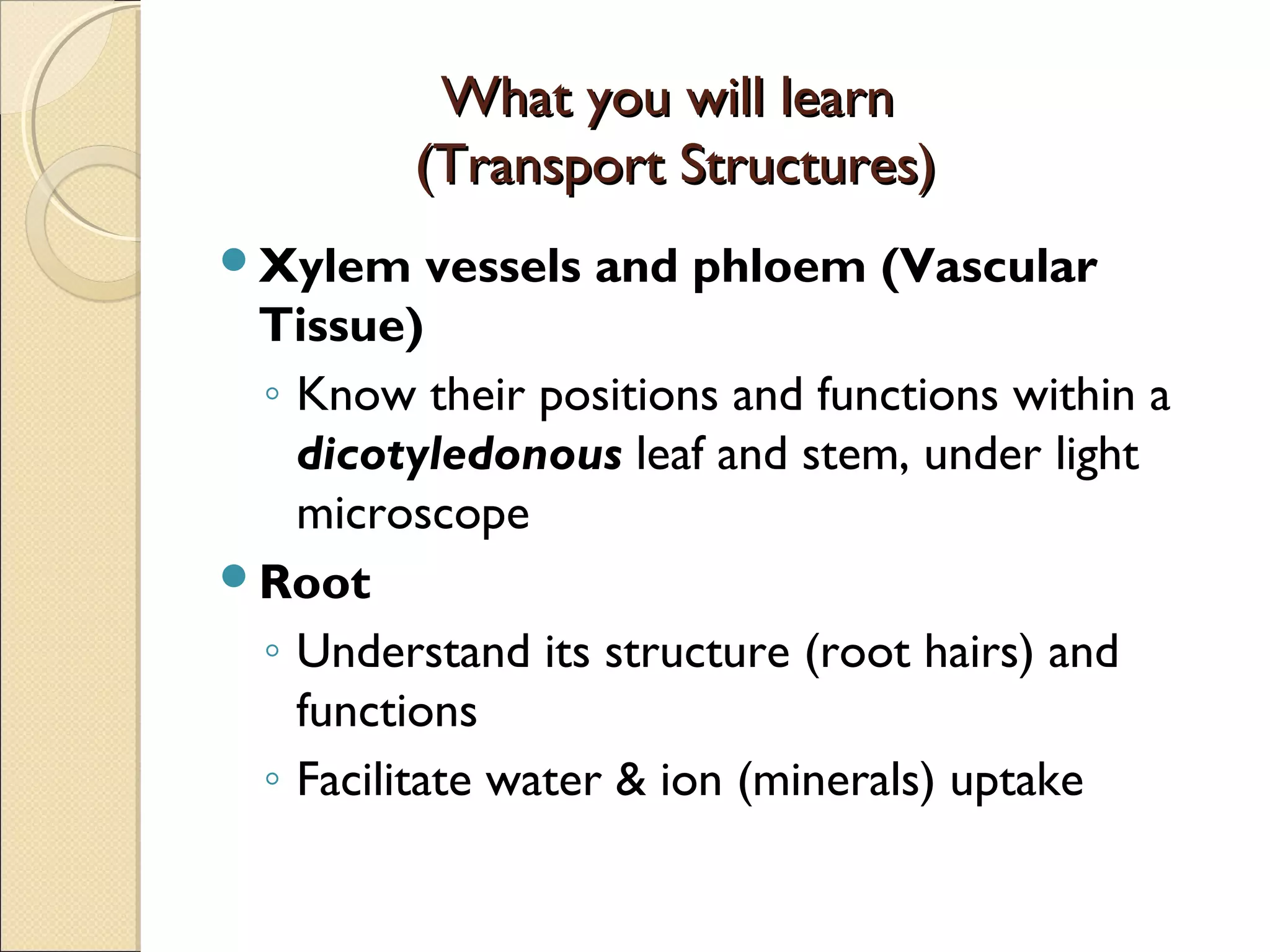 Transportation in plant | PPT