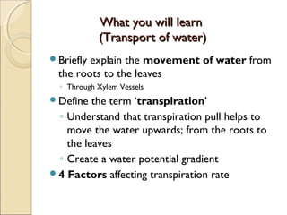 What you will learnWhat you will learn
(Transport of Food)(Transport of Food)
Translocation (Transport of food)
◦ Through...