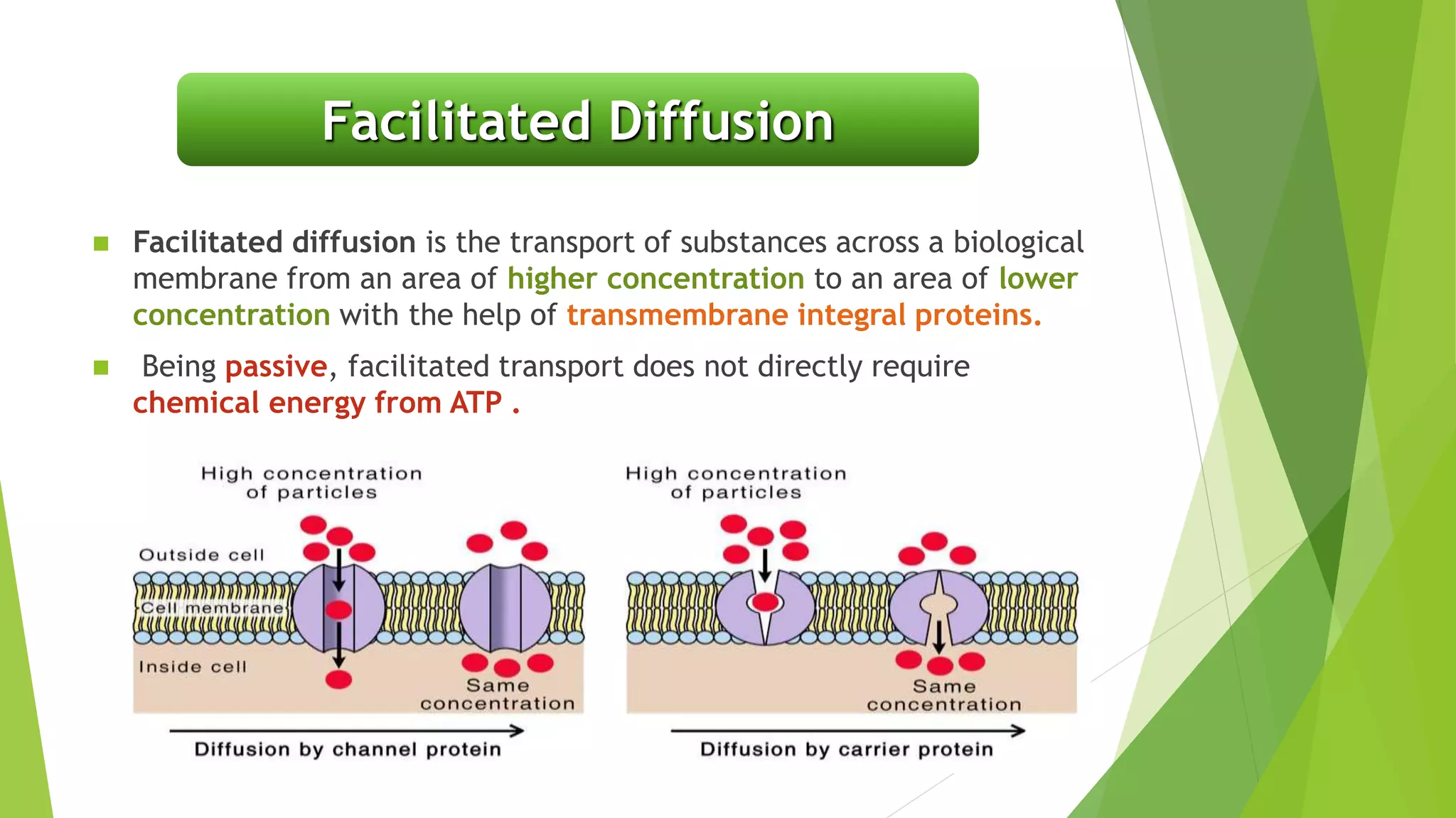 Transportation in plant | PPTX