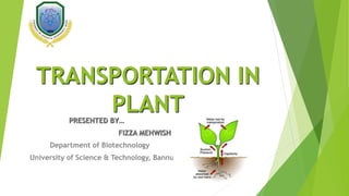 TRANSPORTATION IN
PLANT
PRESENTED BY…
FIZZA MEHWISH
Department of Biotechnology
University of Science & Technology, Bannu
 
