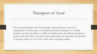 Transport of food


• The food produced by the leaf through photosynthesis need to be
  transported to all the parts of the plant by phloem transport of soluble
  products of photosynthesis is called as translocation .the phloem transports
  amino acids and other substances these substances are especially transported
  to storage organs of root fruits seeds and to growing organs
 