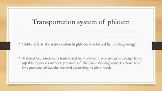 Transportation system of phloem

• Unlike xylem the translocation in phloem is achieved by utilizing energy.

• Material like surcrose is transferred into phloem tissue usingthe energy from
  atp this increases osmotic pressure of the tissue causing water to move to it
  this pressure allows the material according to plant needs
 