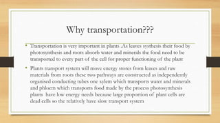 Why transportation???
• Transportation is very important in plants .As leaves systhesis their food by
  photosynthesis and...