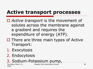Transportation in plants and animals | PPTX