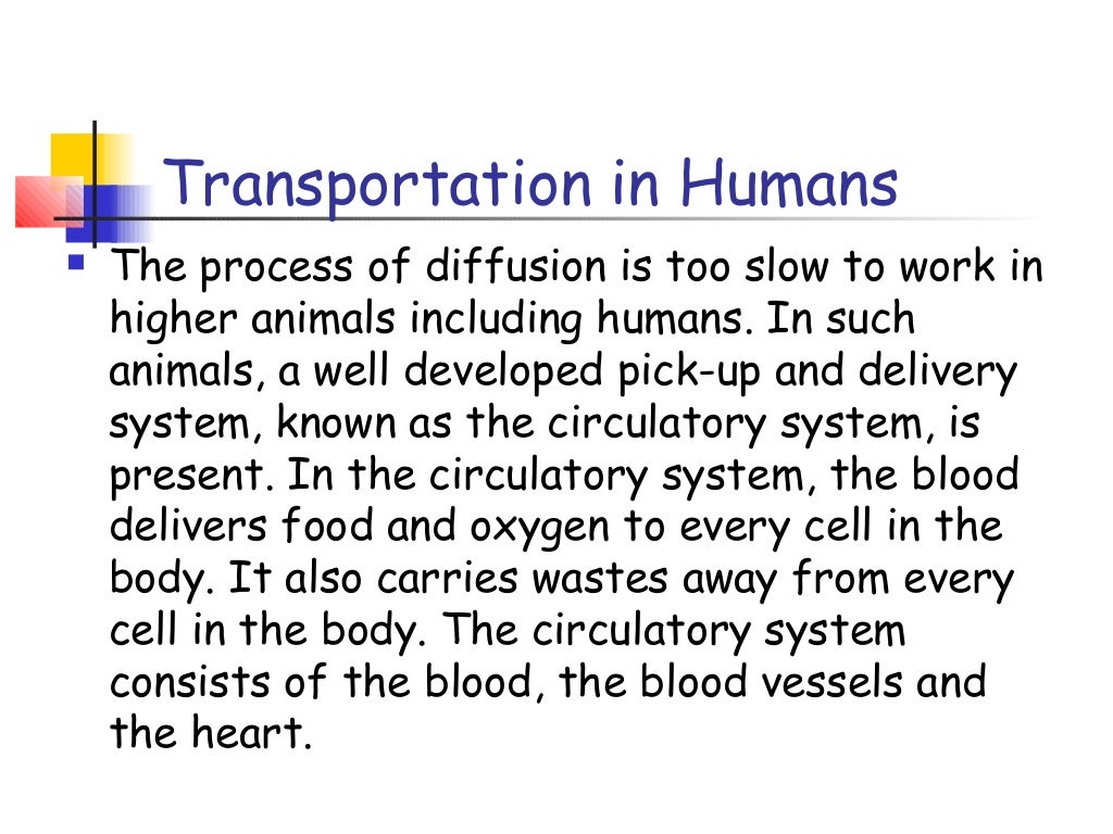 Transportation of materials in plants and animals