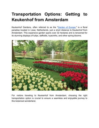 Transportation Options: Getting to
Keukenhof from Amsterdam
Keukenhof Gardens, often referred to as the "Garden of Europe," is a floral
paradise located in Lisse, Netherlands, just a short distance to Keukenhof from
Amsterdam. This expansive garden spans over 32 hectares and is renowned for
its stunning displays of tulips, daffodils, hyacinths, and other spring blooms.
For visitors traveling to Keukenhof from Amsterdam, choosing the right
transportation option is crucial to ensure a seamless and enjoyable journey to
this botanical wonderland.
 