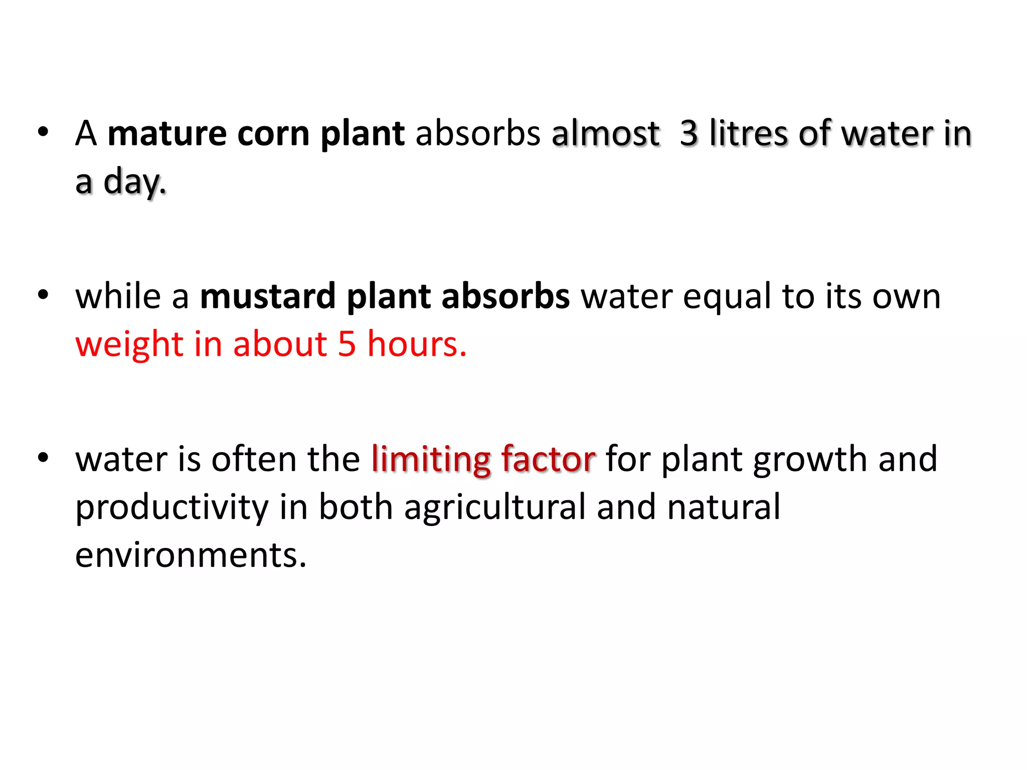 • A mature corn plant absorbs almost 3 litres of water in
a day.
• while a mustard plant absorbs water equal to its own
weight in about 5 hours.
• water is often the limiting factor for plant growth and
productivity in both agricultural and natural
environments.
 