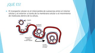 ¿QUÉ ES?
 El transporte celular es el intercambio de sustancias entre el interior
celular y el exterior a través de la membrana celular o el movimiento
de moléculas dentro de la célula.
 