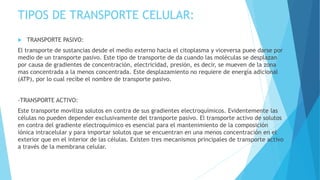 TIPOS DE TRANSPORTE CELULAR:
 TRANSPORTE PASIVO:
El transporte de sustancias desde el medio externo hacia el citoplasma y viceversa puee darse por
medio de un transporte pasivo. Este tipo de transporte de da cuando las moléculas se desplazan
por causa de gradientes de concentración, electricidad, presión, es decir, se mueven de la zona
mas concentrada a la menos concentrada. Este desplazamiento no requiere de energía adicional
(ATP), por lo cual recibe el nombre de transporte pasivo.
-TRANSPORTE ACTIVO:
Este transporte moviliza solutos en contra de sus gradientes electroquímicos. Evidentemente las
células no pueden depender exclusivamente del transporte pasivo. El transporte activo de solutos
en contra del gradiente electroquímico es esencial para el mantenimiento de la composición
iónica intracelular y para importar solutos que se encuentran en una menos concentración en el
exterior que en el interior de las células. Existen tres mecanismos principales de transporte activo
a través de la membrana celular.
 