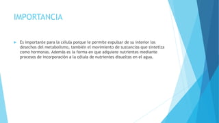 IMPORTANCIA
 Es importante para la célula porque le permite expulsar de su interior los
desechos del metabolismo, también el movimiento de sustancias que sintetiza
como hormonas. Además es la forma en que adquiere nutrientes mediante
procesos de incorporación a la célula de nutrientes disueltos en el agua.
 