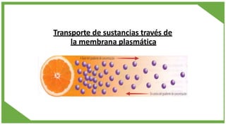 Transporte de sustancias través de
la membrana plasmática
 