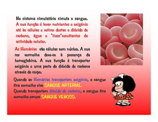 Transporte de Nutrientes e oxigénio até às células
