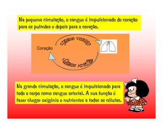 Transporte de Nutrientes e oxigénio até às células