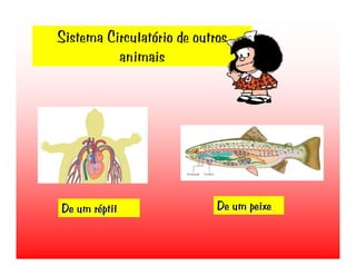Transporte de Nutrientes e oxigénio até às células