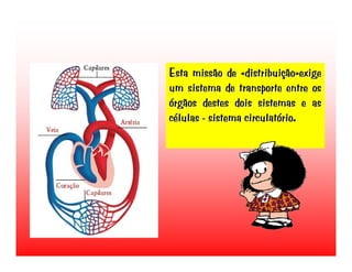 Transporte de Nutrientes e oxigénio até às células