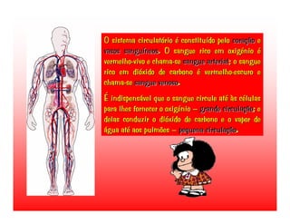 Transporte de Nutrientes e oxigénio até às células