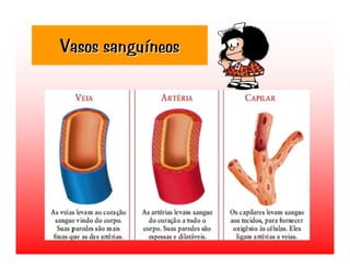 Transporte de Nutrientes e oxigénio até às células