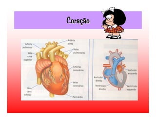 Transporte de Nutrientes e oxigénio até às células