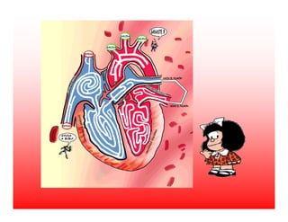 Transporte de Nutrientes e oxigénio até às células