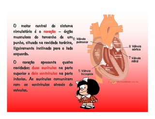 Transporte de Nutrientes e oxigénio até às células