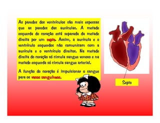 Transporte de Nutrientes e oxigénio até às células