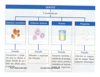 Transporte De Nutrientes E OxigéNio Até àS CéLulas Sangue