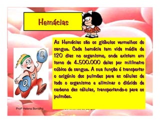 Transporte De Nutrientes E OxigéNio Até àS CéLulas Sangue