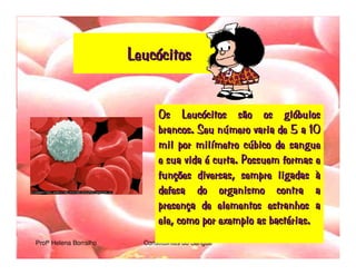 Transporte De Nutrientes E OxigéNio Até àS CéLulas Sangue