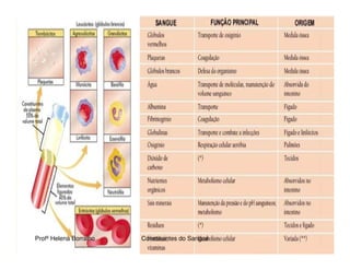 Transporte De Nutrientes E OxigéNio Até àS CéLulas Sangue