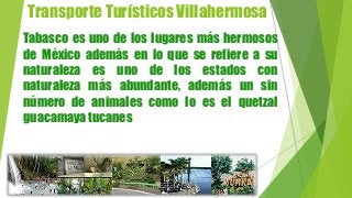 Transporte Turísticos Villahermosa
Tabasco es uno de los lugares más hermosos
de México además en lo que se refiere a su
naturaleza es uno de los estados con
naturaleza más abundante, además un sin
número de animales como lo es el quetzal
guacamaya tucanes
 