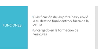 FUNCIONES:
Clasificación de las proteínas y envió
a su destino final dentro y fuera de la
célula
Encargado en la formación de
vesículas
 