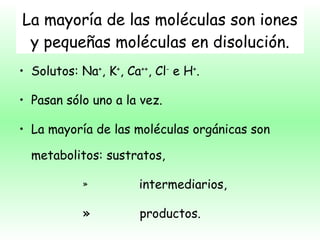 La mayoría de las moléculas son iones y pequeñas moléculas en disolución. Solutos: Na + , K + , Ca ++ , Cl -  e H + . Pasan sólo uno a la vez. La mayoría de las moléculas orgánicas son metabolitos: sustratos, intermediarios, productos. 