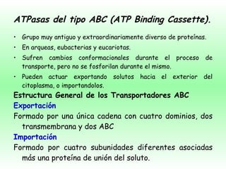 ATPasas del tipo ABC (ATP Binding Cassette).  Grupo muy antiguo y extraordinariamente diverso de proteínas. En arqueas, eubacterias y eucariotas. Sufren cambios conformacionales durante el proceso de transporte, pero no se fosforilan durante el mismo. Pueden actuar exportando solutos hacia el exterior del citoplasma, o importandolos. Estructura General de los Transportadores ABC   Exportación    Formado por una única cadena con cuatro dominios, dos transmembrana y dos ABC  Importación   Formado por cuatro subunidades diferentes asociadas más una proteína de unión del soluto. 