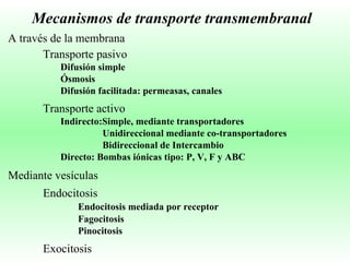 Mecanismos de transporte transmembranal A través de la membrana Mediante vesículas Transporte pasivo Difusión simple Ósmosis  Difusión facilitada: permeasas, canales Transporte activo Indirecto:Simple, mediante transportadores   Unidireccional mediante co-transportadores   Bidireccional de Intercambio Directo: Bombas iónicas tipo: P, V, F y ABC Endocitosis Endocitosis mediada por receptor Fagocitosis Pinocitosis Exocitosis 