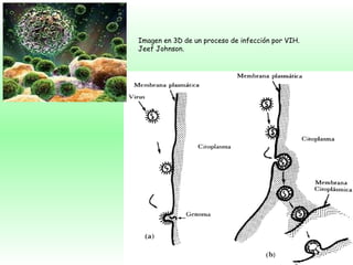 Imagen en 3D de un proceso de infección por VIH. Jeef Johnson.  