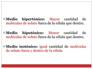 Medio hipertónico:   Mayor  cantidad de  moléculas de soluto  fuera de la célula que dentro. Medio hipotónico:   Menor  cantidad de  moléculas de soluto  fuera de la célula que dentro. Medio isotónico:   igual  cantidad de  moléculas de soluto fuera y dentro de la célula 