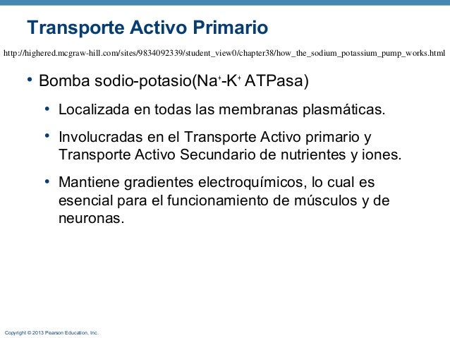 Salario Minimo Mas Subsidio De Transporte 2016 En Colombia | salario minimo mas subsidio de transporte 2016 en colombia Salario Minimo Mas Subsidio De Transporte 2016 En Colombia | salario minimo mas subsidio de transporte 2016 en colombia