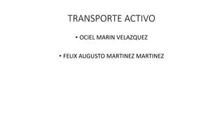TRANSPORTE ACTIVO
• OCIEL MARIN VELAZQUEZ
• FELIX AUGUSTO MARTINEZ MARTINEZ
 