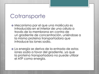 Cotransporte
   Mecanismo por el que una molécula es
    introducida en el interior de una célula a
    través de la membrana en contra de
    un gradiente de concentración, uniéndose a
    la misma proteína transportadora que
    introduce los iones sodio.

   La energía se deriva de la entrada de estos
    iones sodio a favor del gradiente, ya que
    la proteína transportadora no puede utilizar
    el ATP como energía.
 