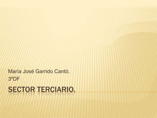 SECTOR TERCIARIO.
María José Garrido Cantó.
3ºDF
 