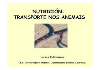 NUTRICINUTRICIÓÓN:N:
TRANSPORTE NOS ANIMAISTRANSPORTE NOS ANIMAIS
Carmen Cid Manzano
I.E.S. Otero Pedrayo. Ourense. Departamento Bioloxía e Xeoloxía.
 