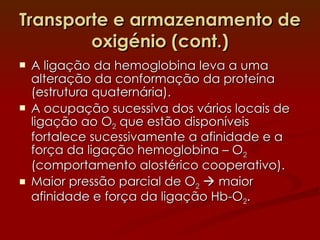 Transporte e armazenamento de oxigénio (cont.) A ligação da hemoglobina leva a uma alteração da conformação da proteína (estrutura quaternária). A ocupação sucessiva dos vários locais de ligação ao O 2  que estão disponíveis fortalece sucessivamente a afinidade e a força da ligação hemoglobina – O 2  (comportamento alostérico cooperativo). Maior pressão parcial de O 2     maior afinidade e força da ligação Hb-O 2 . 
